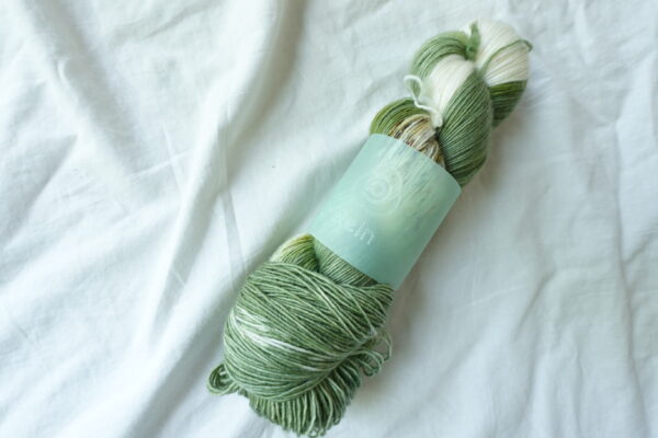 抹茶｜ maccha