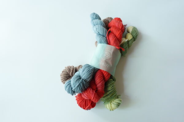 ReinSockのミニかせセット
