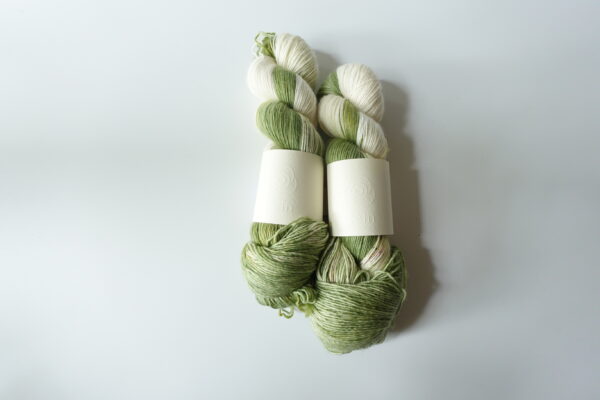 抹茶| maccha